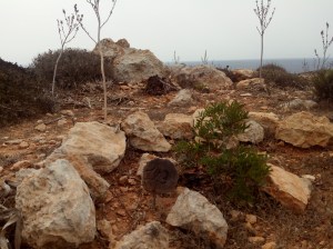 Garden of Remembrance (Lampedusa)