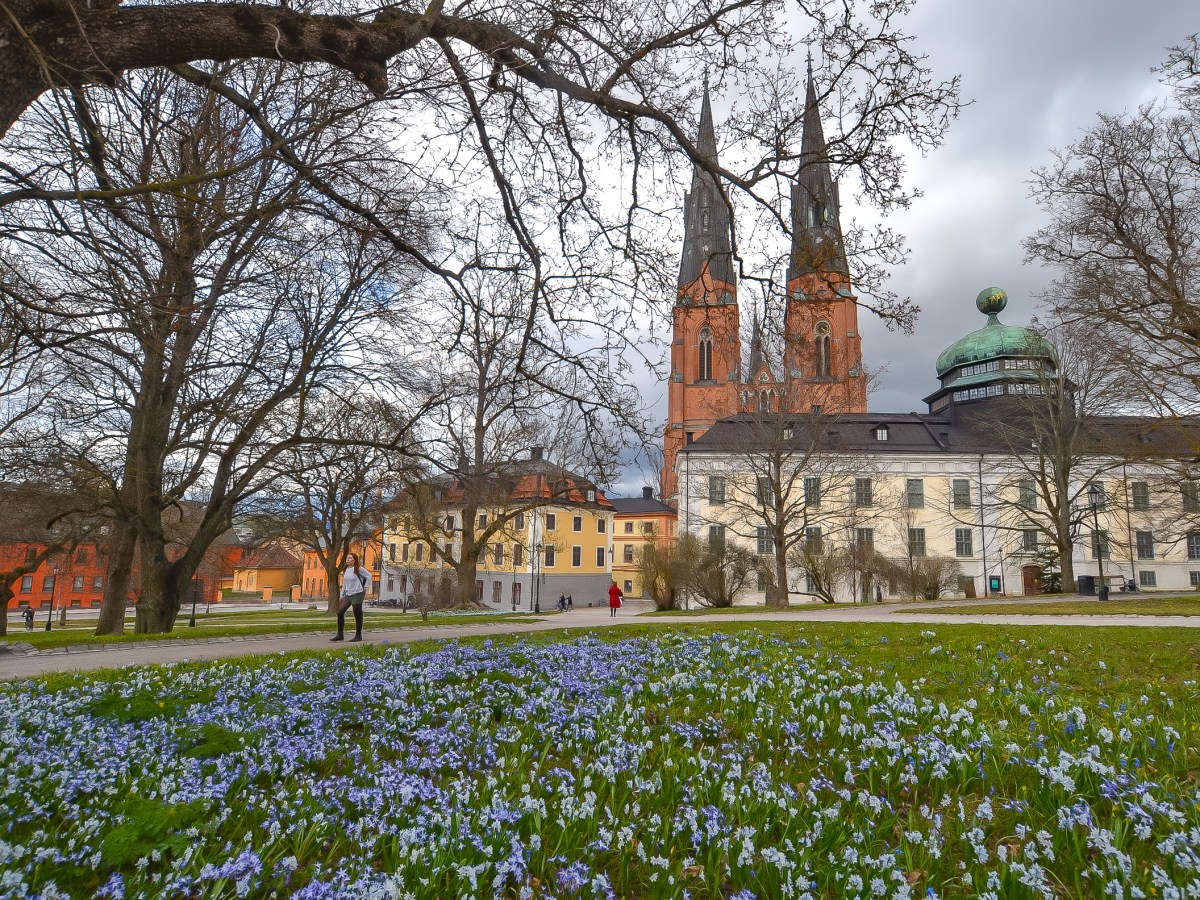 City Guide – Uppsala