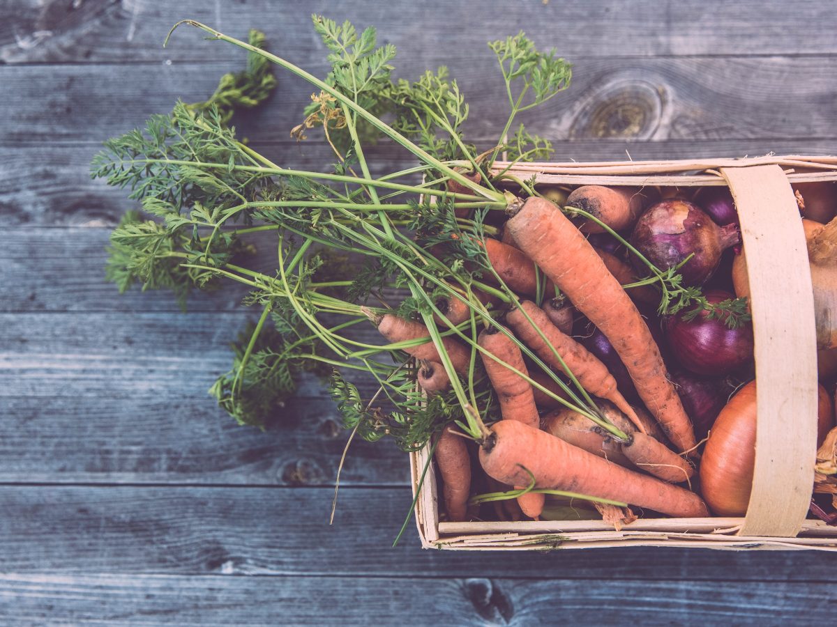 City Lifestyle: How to live a sustainable lifestyle in Strasbourg