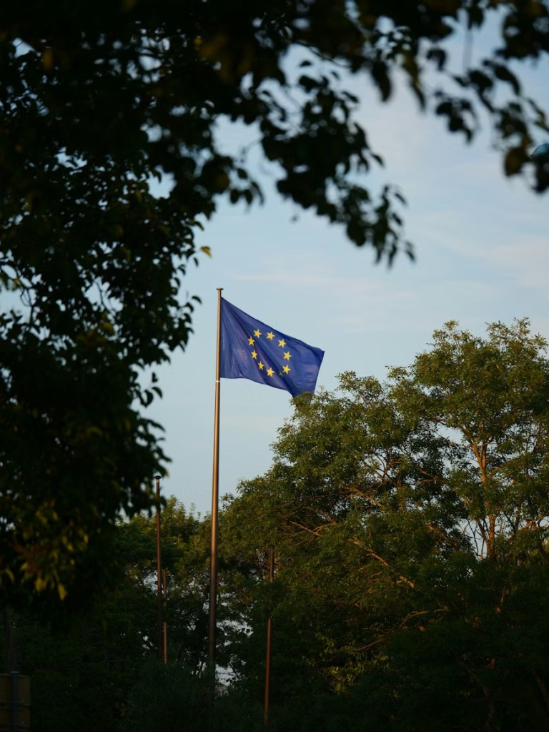 Too Slow for Chaos: Rethinking the EU’s Geopolitical Architecture to Become a Geopolitical Power